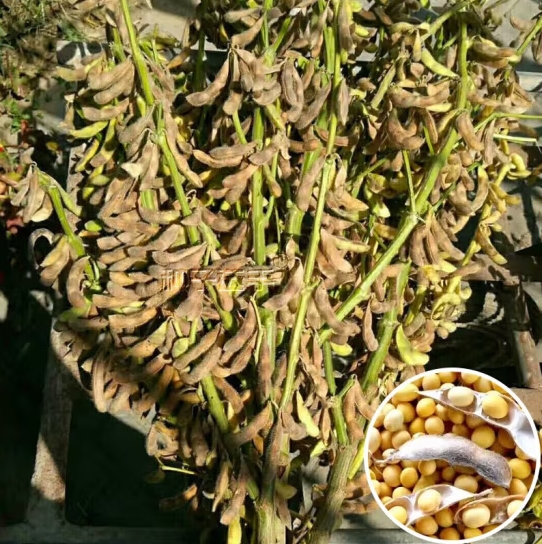 微信截圖_20240415110106