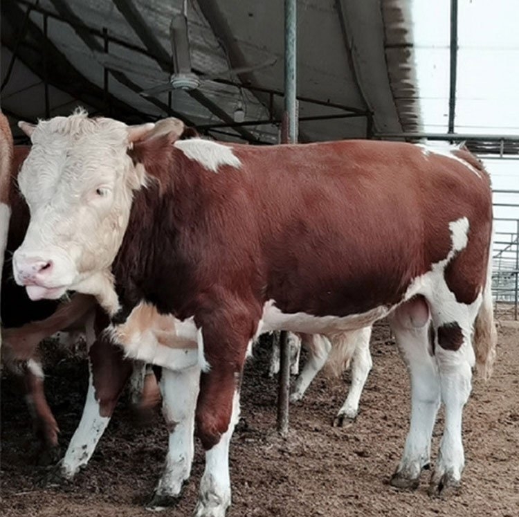 微信截圖_20240415115758