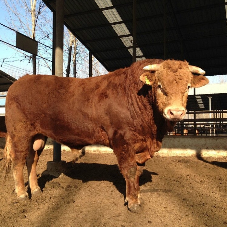 微信截圖_20240415115905