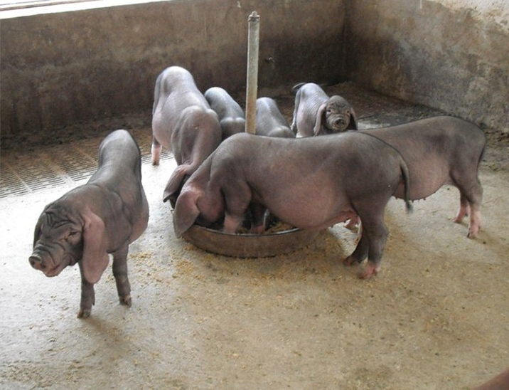 微信截圖_20240415133222