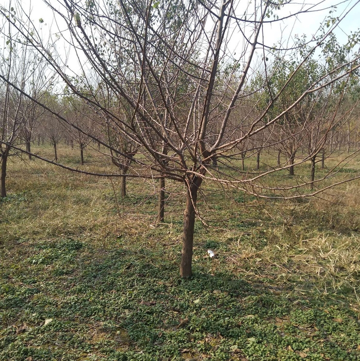 微信截圖_20240415133813