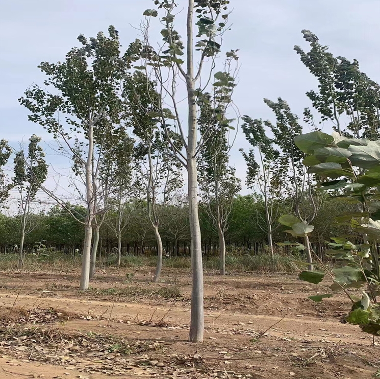 微信截圖_20240415134058