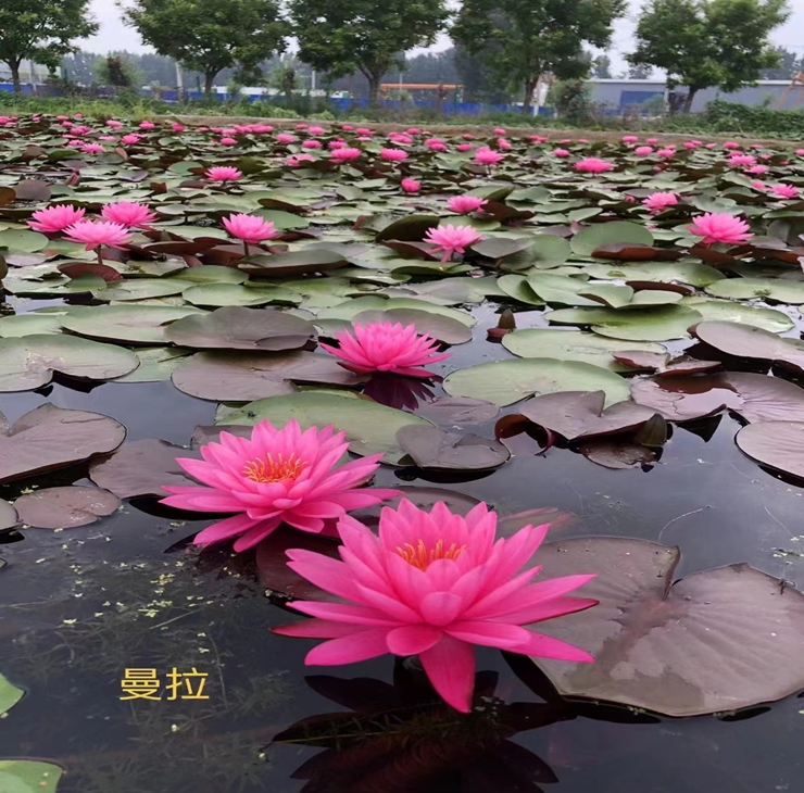 微信截圖_20240415135441