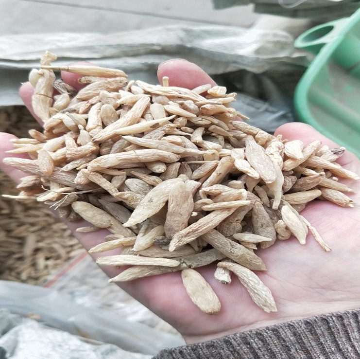 微信截圖_20240415135708