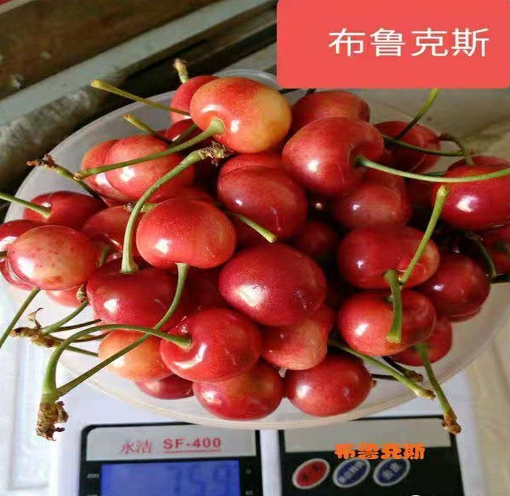 微信截圖_20240415135954